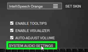 IntelliSpeechFAQ4